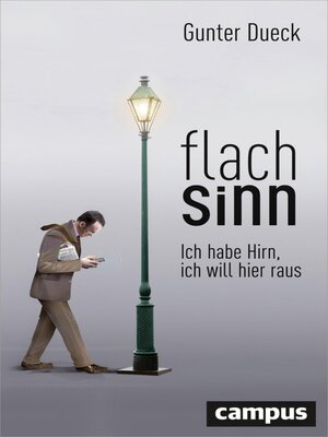 cover image of Flachsinn